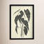 Begonia Print by Susan Hable