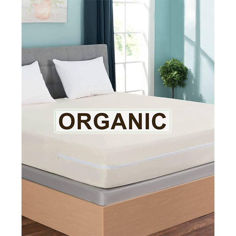 Organic Cotton Twin XL Mattress Protector in Off-White