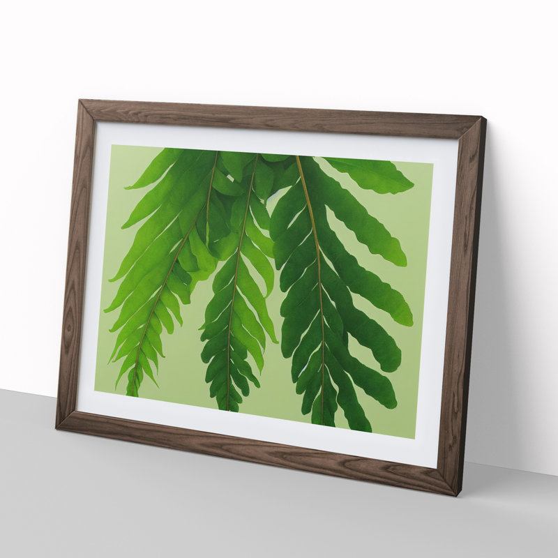 Unusual Fern Leaf - Framed Print, 25cm H x 34cm W x 2cm D, Walnut