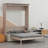 Murphy Bed With Sofa And LED