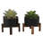 5.5 " H Faux Succulent Plant