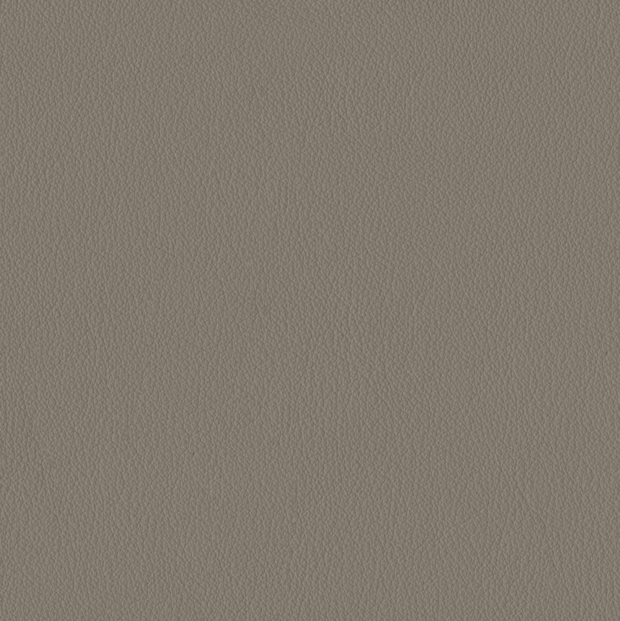 Elan Flannel Sample