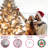 Lighted Fir Christmas Tree-643833949