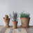 Hillengas Round Cement Planter with Saucer and Distressed Finish-1379896040