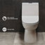 Daxton One Piece Elongated Dual Flush Toilet