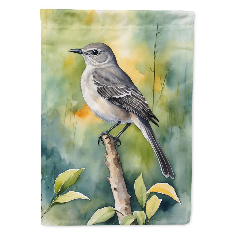 Drapeau de jardin, Moqueur de Floride