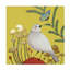 Art sur toile «Le Petit Sentier Jaune Bebe» par Sylvie Demers-1314249460