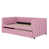 Rose est en rupture de stock