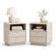 Ensemble de 2 tables de chevet modernes avec 2 tiroirs et tables de chevet de 22 po de largeur-1032905903