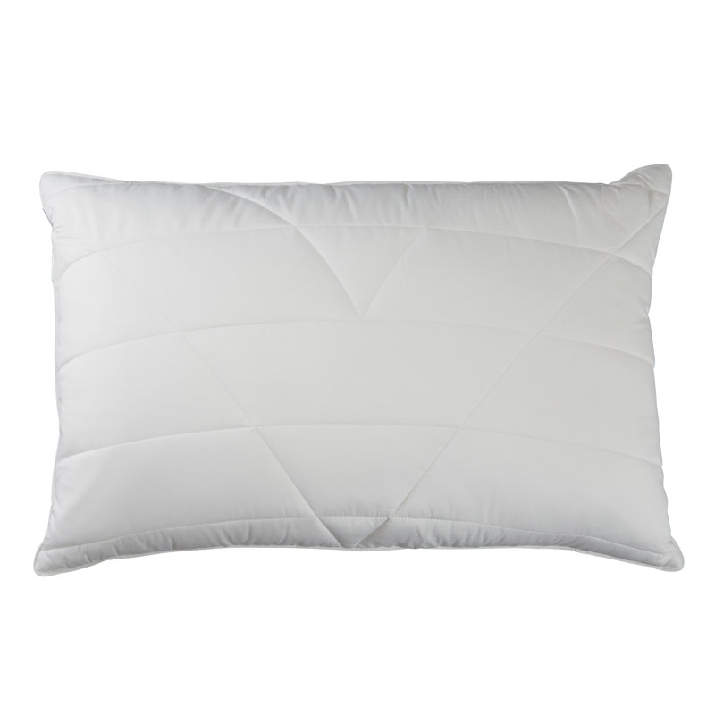 Hollander L75 x W50cm Pillow