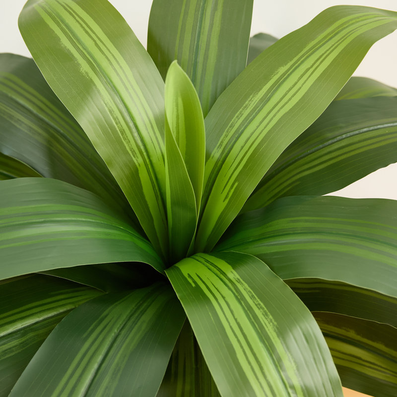 Dracaena artificiel Adcock résistant aux rayons UV, grande plante Dracaena pour la décoration intérieure intérieure, Vert