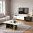 TV Stand and Coffee Table-1704509970