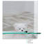 Selph Flat Wall Mirror with Shelves-480561787