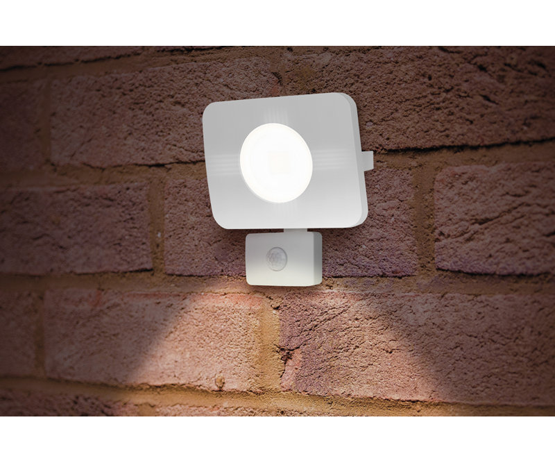 Ostler 1-Light LED Flood Light