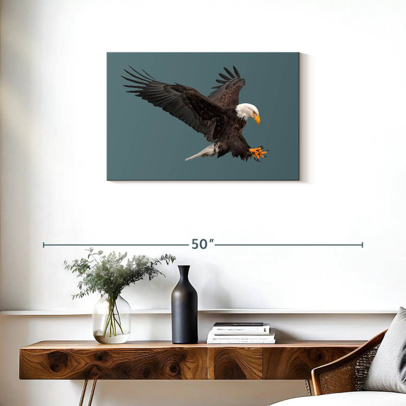 Brampt Predator Bald Eagle, 20" H x 30" W