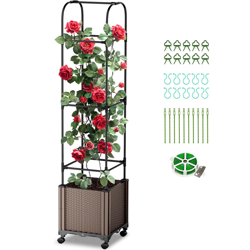 155cm H x 40cm W Plastic Arched Trellis