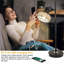 Wyandotte Metal USB Desk Lamp