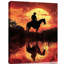 1 Piece Wrapped Canvas Wall Art