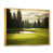 Gold Floater Framed