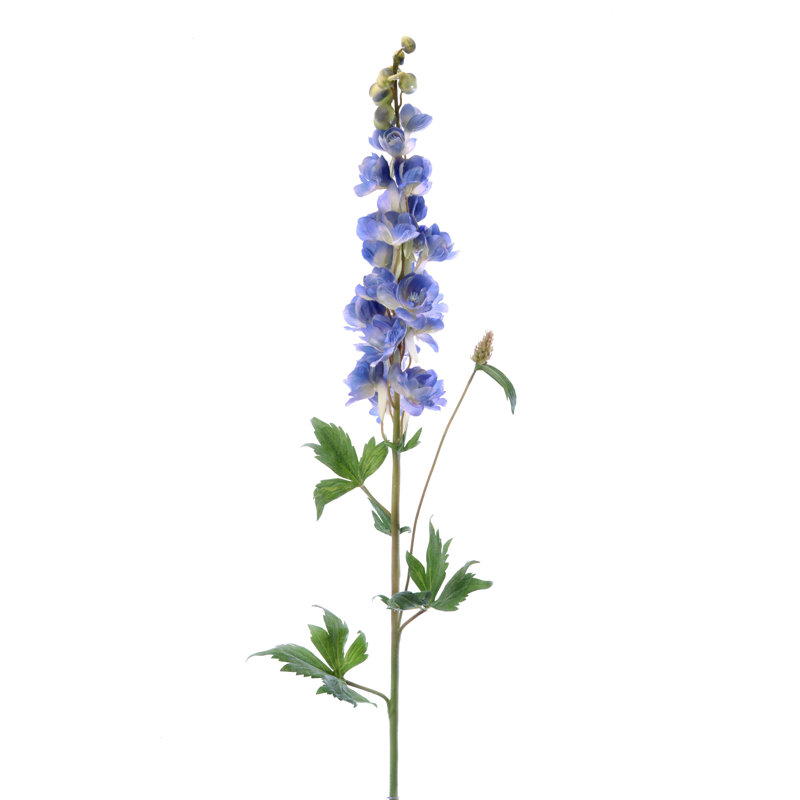 38 "Delphinium Flower"