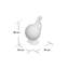 Webrook Decanter