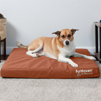 Oxford Indoor/Outdoor Deluxe Orthopedic Pet Bed
