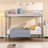 Moern Metal Bunk Bed