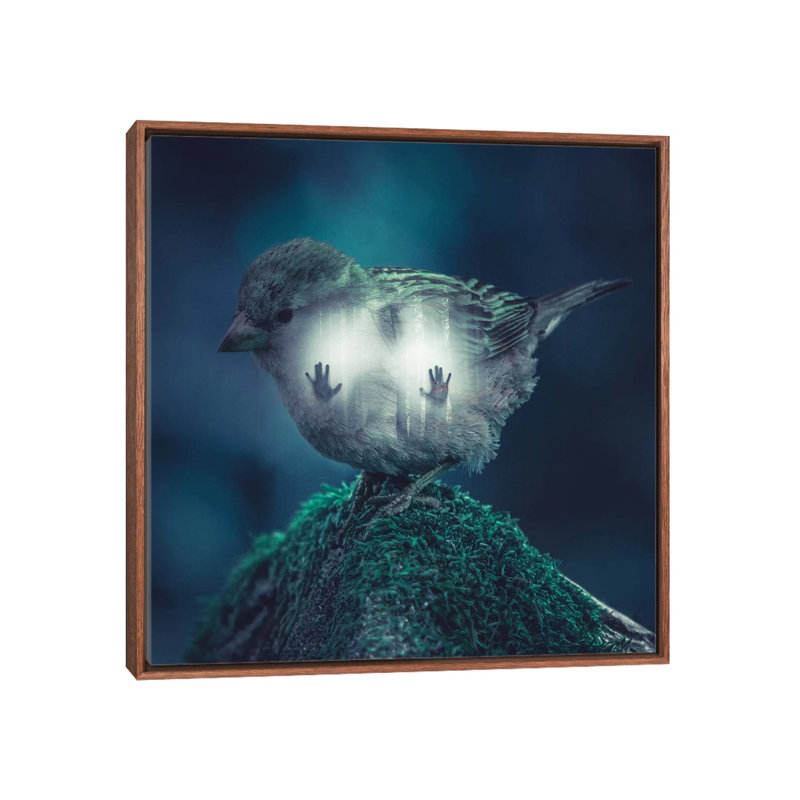 Trapped by Paul Haag - Print on Canvas, Classic Brown Wood Framed, 66.04 cm H x 66.04 cm W