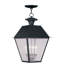 Luminaire suspendu lanterne 15 pouces avec verre bullé 15 pouces-101230776