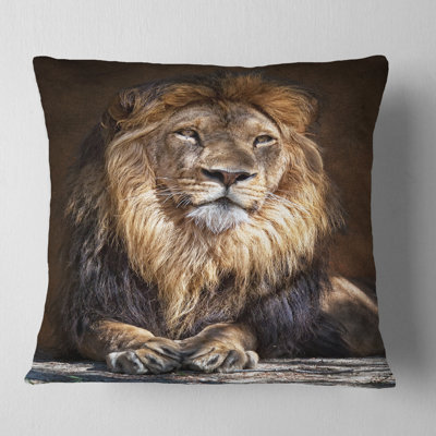 Throw Pillow