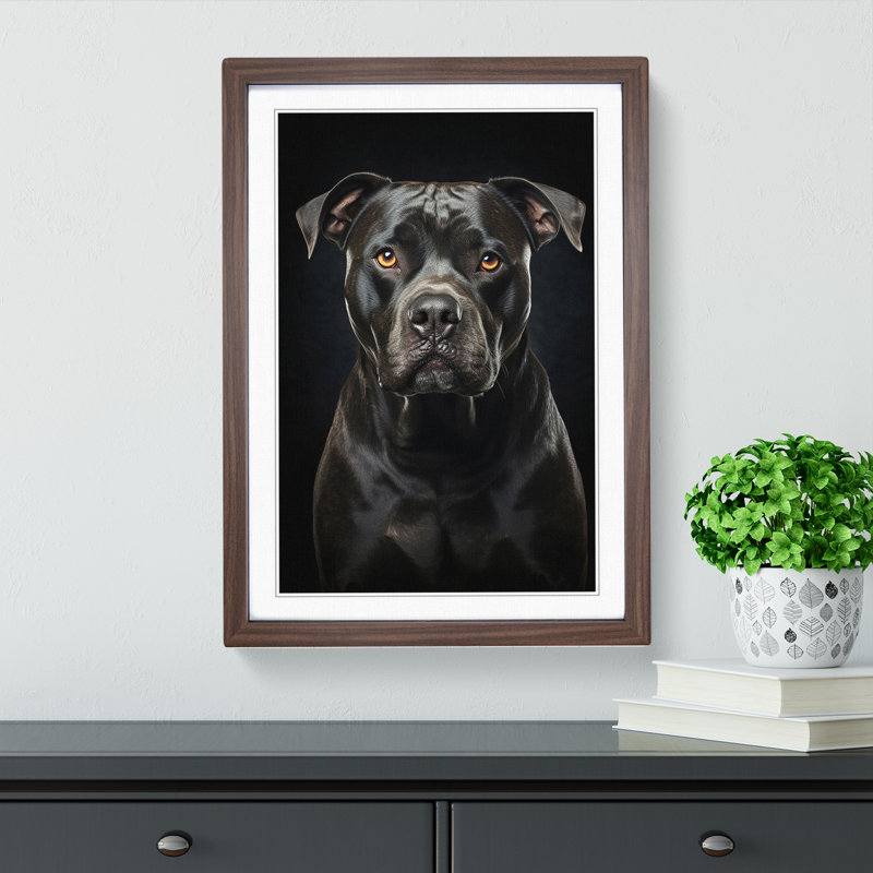 Staffordshire Bull Terrier Tachisme - Framed Print, 46cm H x 34cm W x 2cm D, Walnut
