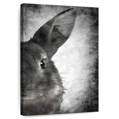 Visage de lapin Brampt noir et blanc