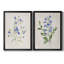 «Blue Botanical I», ensemble de 2 reproductions d'art-2026522018-2026522008-2026522010