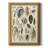 " Seashell Display " Graphic Art Print-1401460788