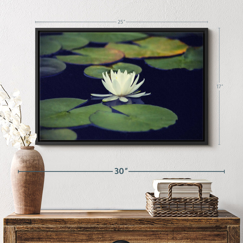 " Lotus And Leaves ", 17" H x 25" W