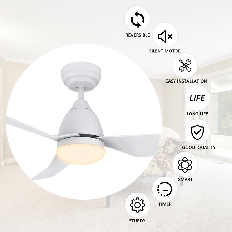 Raenah 44'' Ceiling Fan with LED Lights