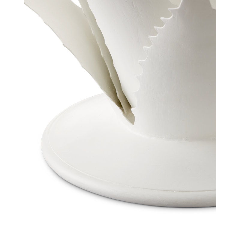 Agave, objet