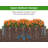 Raised Garden Bed 48X48x10'', Outdoor Wood Planter Box Over Floor, Tool-Free Assembly