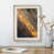 Oak Framed selected