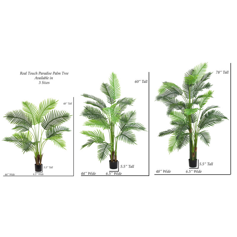 ARBRE DE PAUME 60 "PARADISE 60"