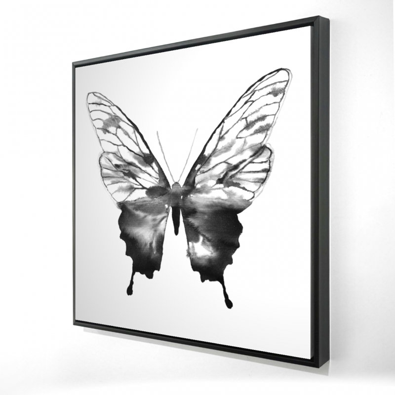 " Black Butterfly Sketch "