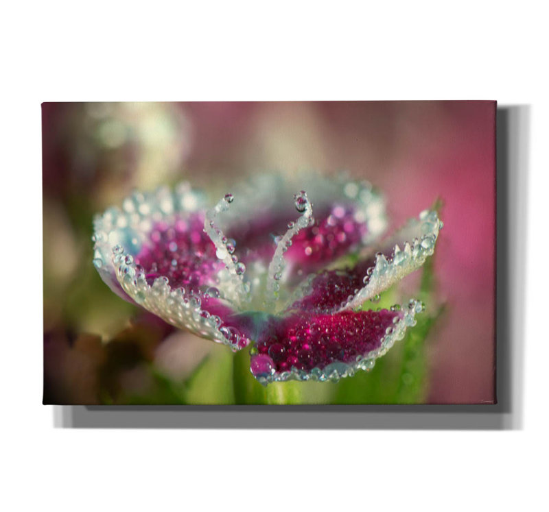 Macro Flowers 05 par Gordon Semmens, H 12 po x l 18 po x P 0,75 po