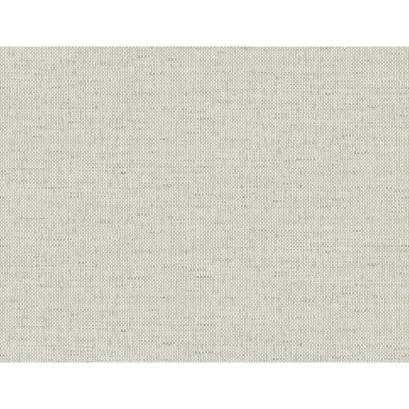 Rouleau de papier peint embossé 3D L 27 pi x l 27 po Chariyah, Gris d'été