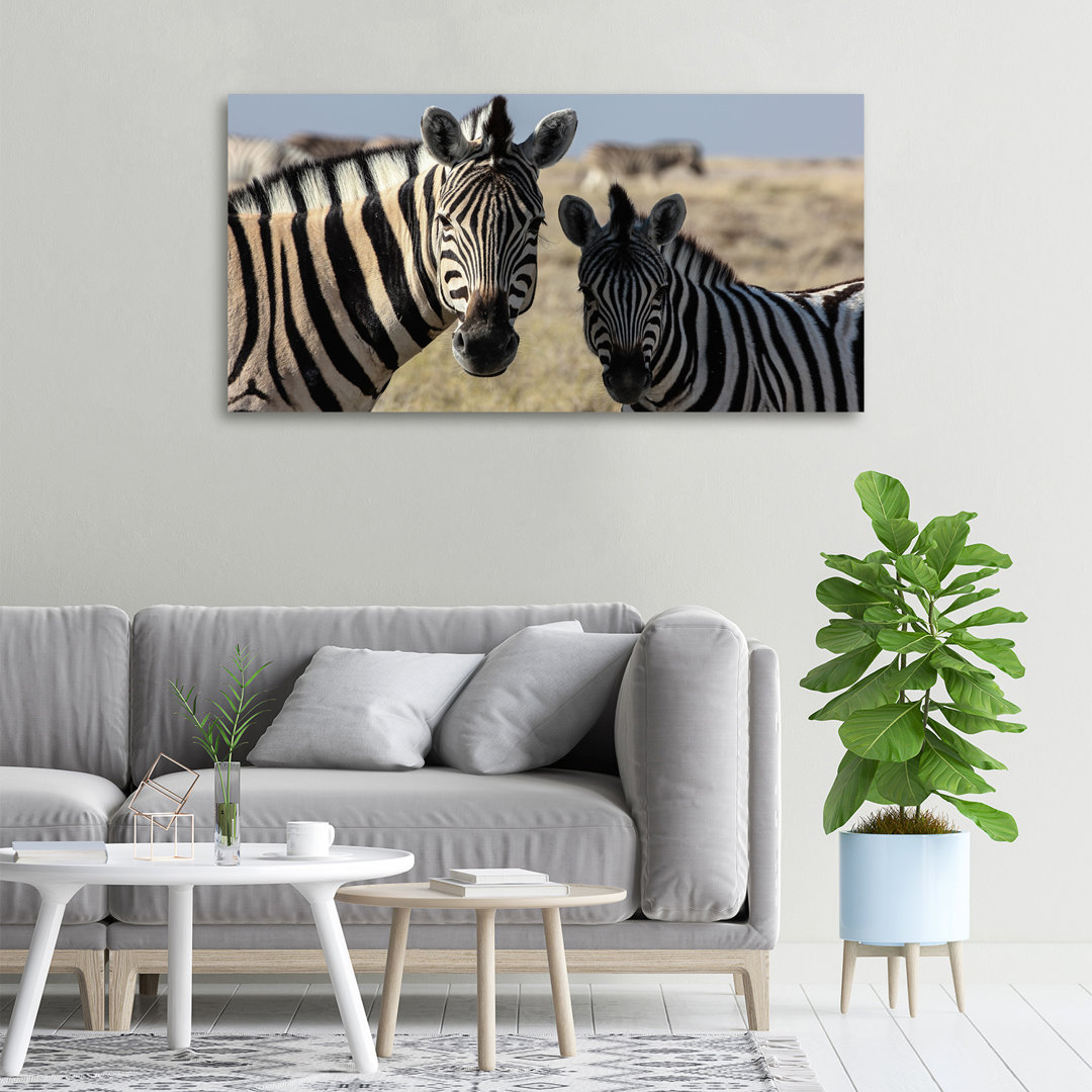 Zwei Zebras - Kunstdrucke auf Leinwand - Wrapped Canvas