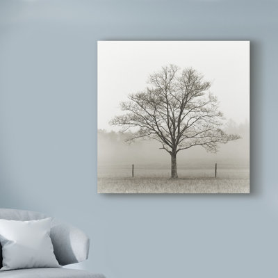 «Winter Tree, Cades Cove» par NIcholas Beil, reproduction de photo