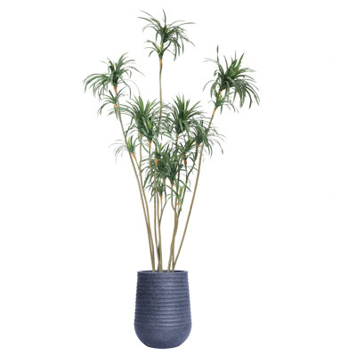 Arbre de dragon artificiel en pot 110,08 "