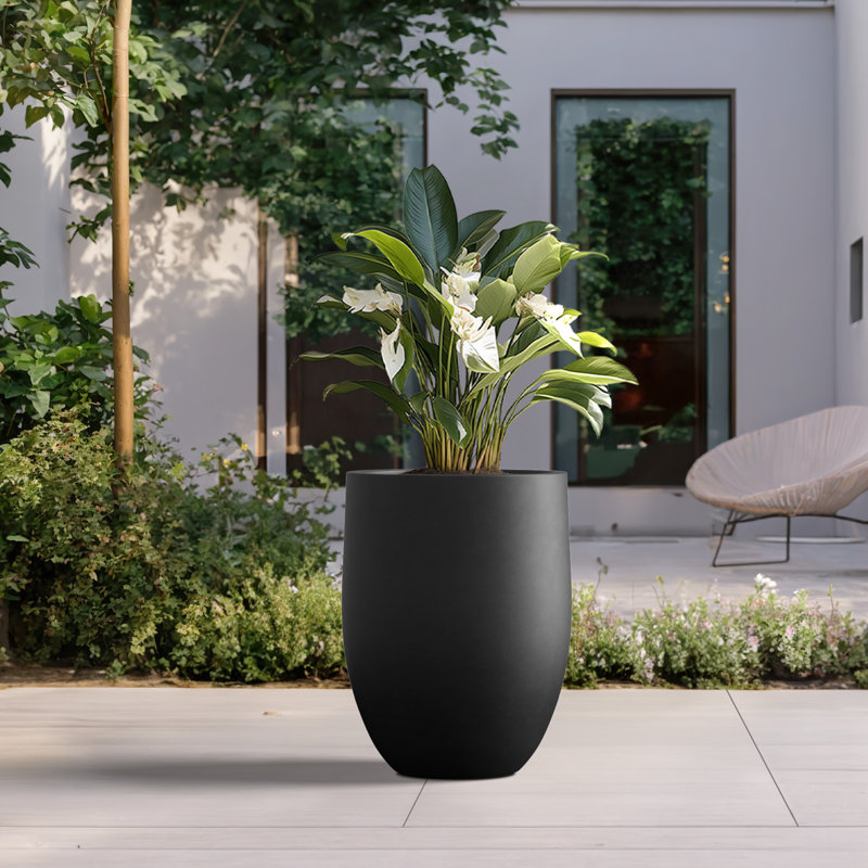 Pot à fleurs en ciment Irmelie, H 21,65 po x l 16,93 po x P 16,93 po, Noir anthracite