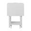 Mischa Tray Table Set-36553741