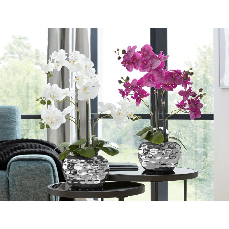 Phalaenopsis Arrangement in Vase