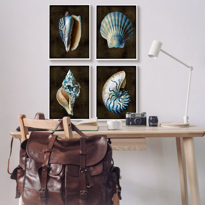 A4-090-Giclee " Seashells On Black " by Caroline Kelly 4 - Pieces